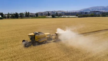 Ardahan Üniversitesi, 13 Bin Yıllık Kavılca Buğdayı İle Tarımda Yeni Bir Çağ Başlatıyor
