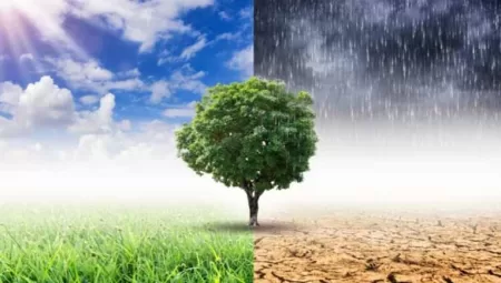 İklim Bilimi Nedir? Gezegenimizin Geleceğini Şekillendiriyor!