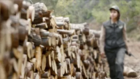 Tarım ve Orman Bakanlığı 8500 Personel Alımı 2025: Başvuru Şartları ve Kadro Dağılımı